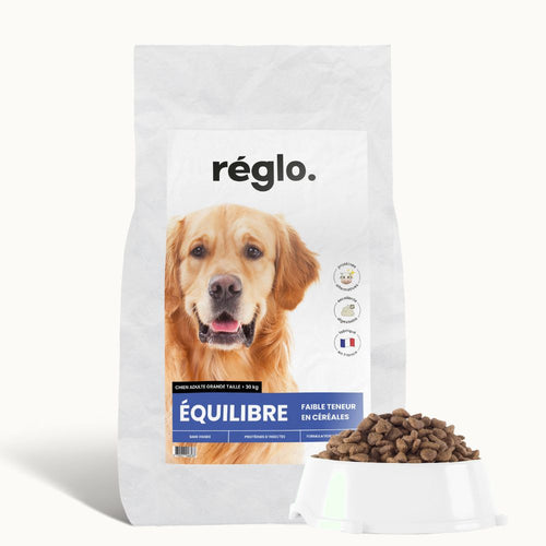 Croquettes équilibre - Chien adulte plus de 30 kg