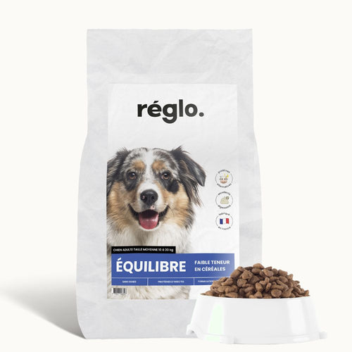 Croquettes équilibre - Chien adulte 10 à 30 kg